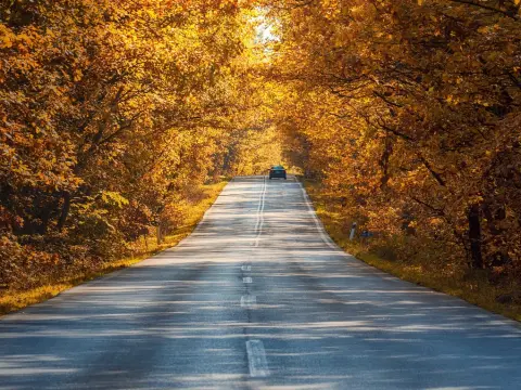 Kia : montée en gamme mondiale