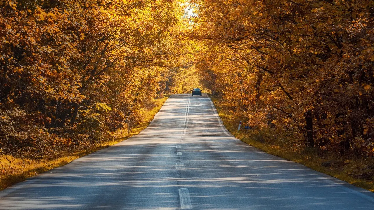 Kia : montée en gamme mondiale