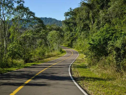 Compétition entre Mercedes, BMW et Audi
