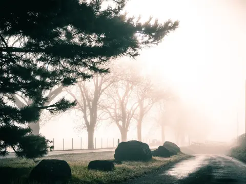 L'évolution des logos automobiles et significations