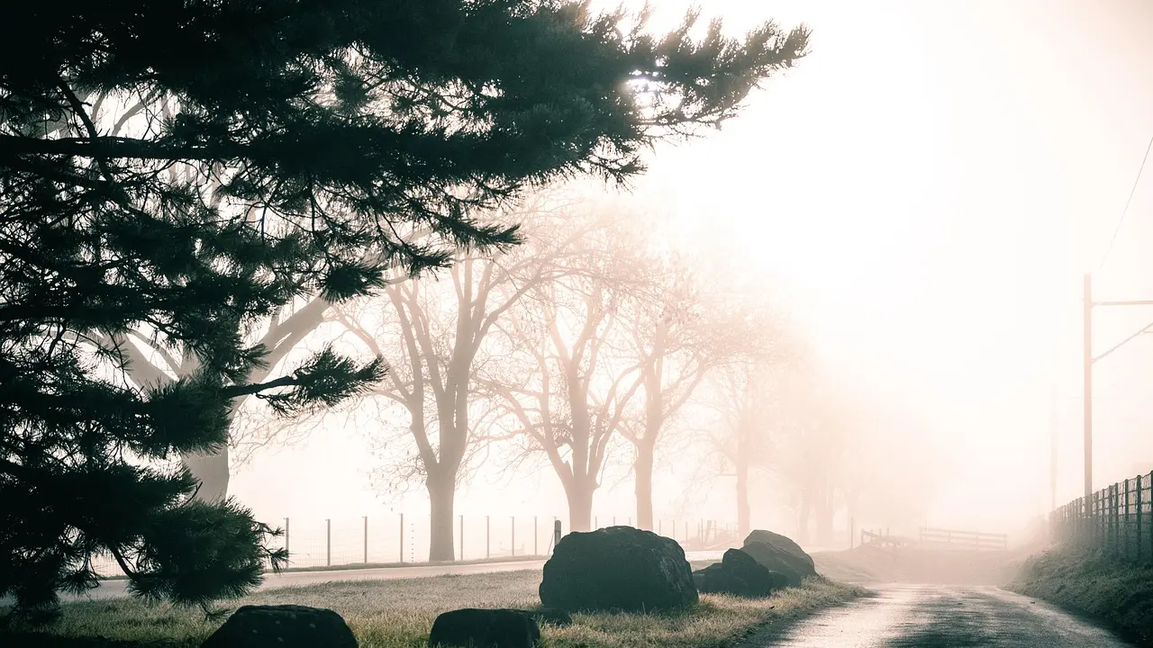 L'évolution des logos automobiles et significations